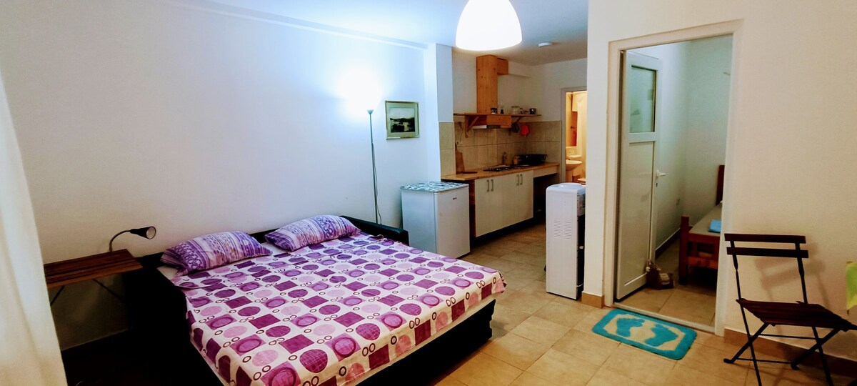 تحتوي غرفة المعيشة المتصلة بالمطبخ على أريكة مزدوجة وأريكة فردية يمكن طيها. 