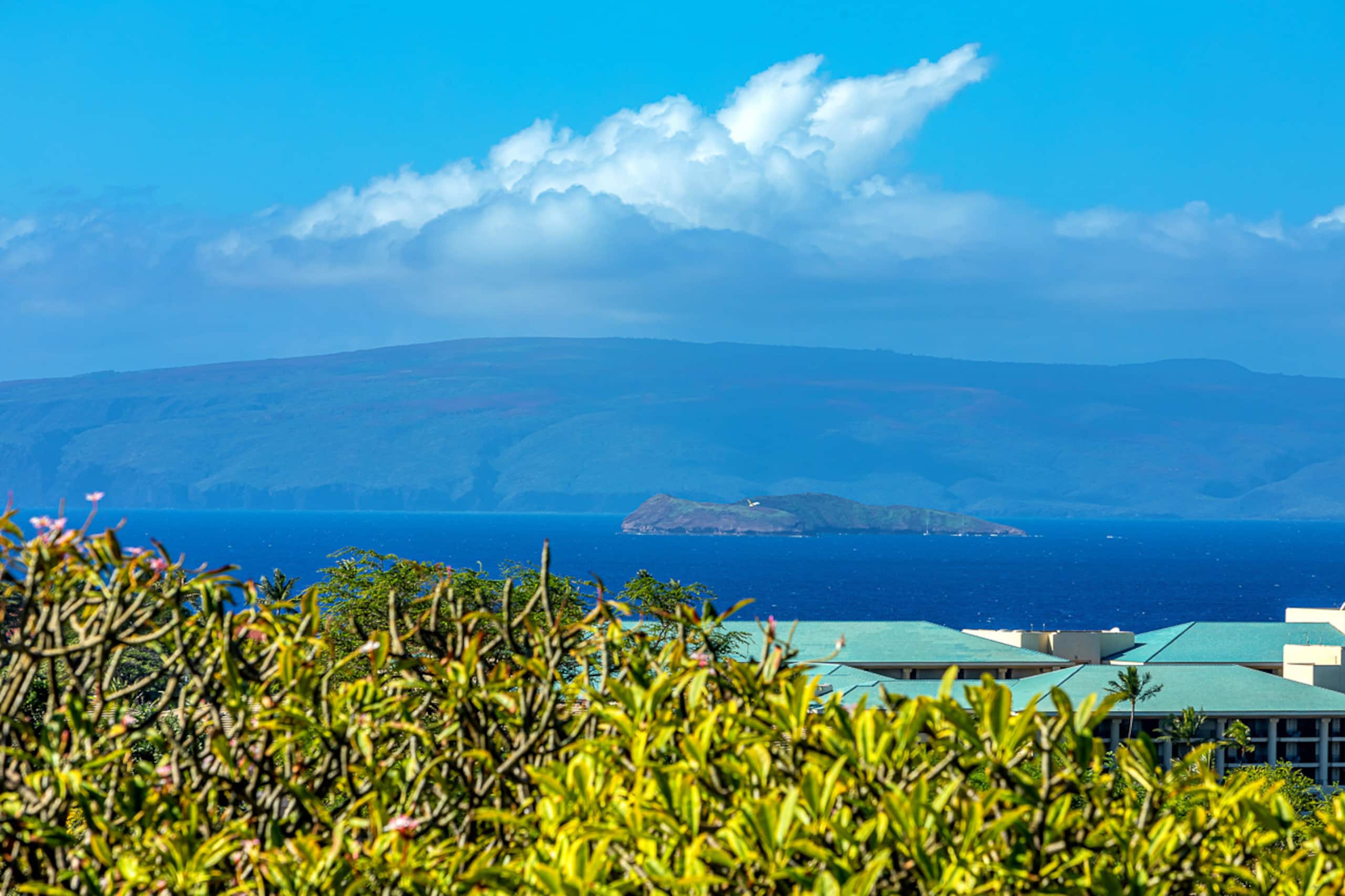 Condo in Wailea · ★4.94 · 2 bedrooms · 4 beds · 3 private baths - Image 16