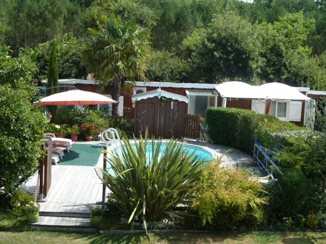 A private outdoor area features a circular swimming pool surrounded by green foliage and wooden decking. A sun umbrella offers shade over a seating area with lounge chairs. Nearby, cabins are positioned among the plants, contributing to a secluded and tranquil environment.