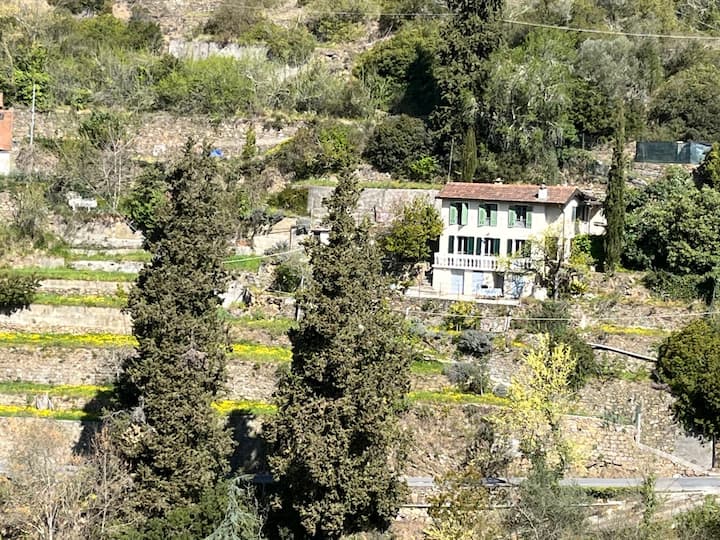 Charming restored farmhouse with a panoramic view Villas for Rent in