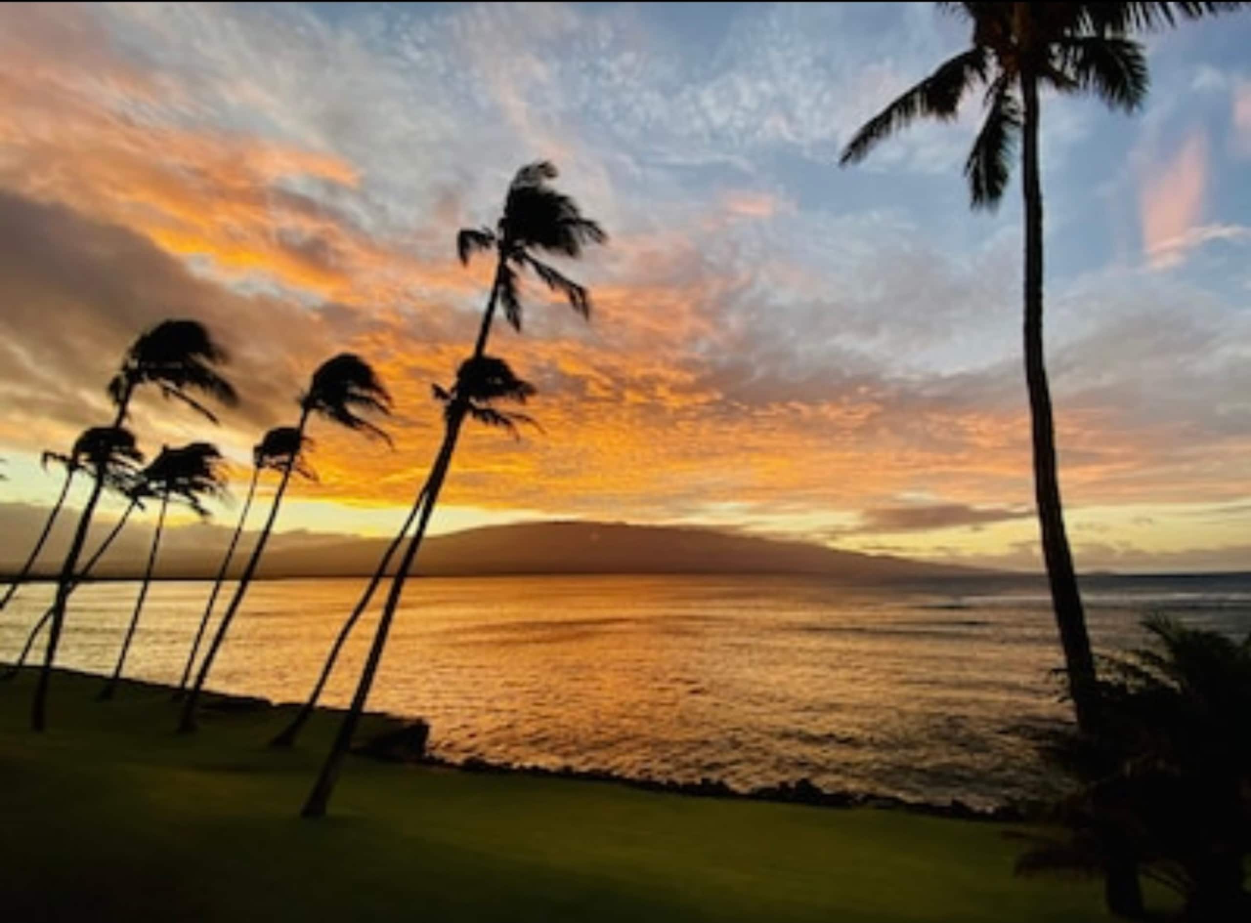 Condo in Wailuku · ★4.97 · 2 bedrooms · 3 beds · 2 baths - Image 59