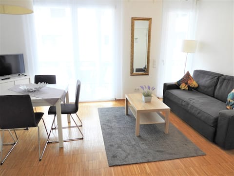 braviscasa - Endingen Stadttor C5