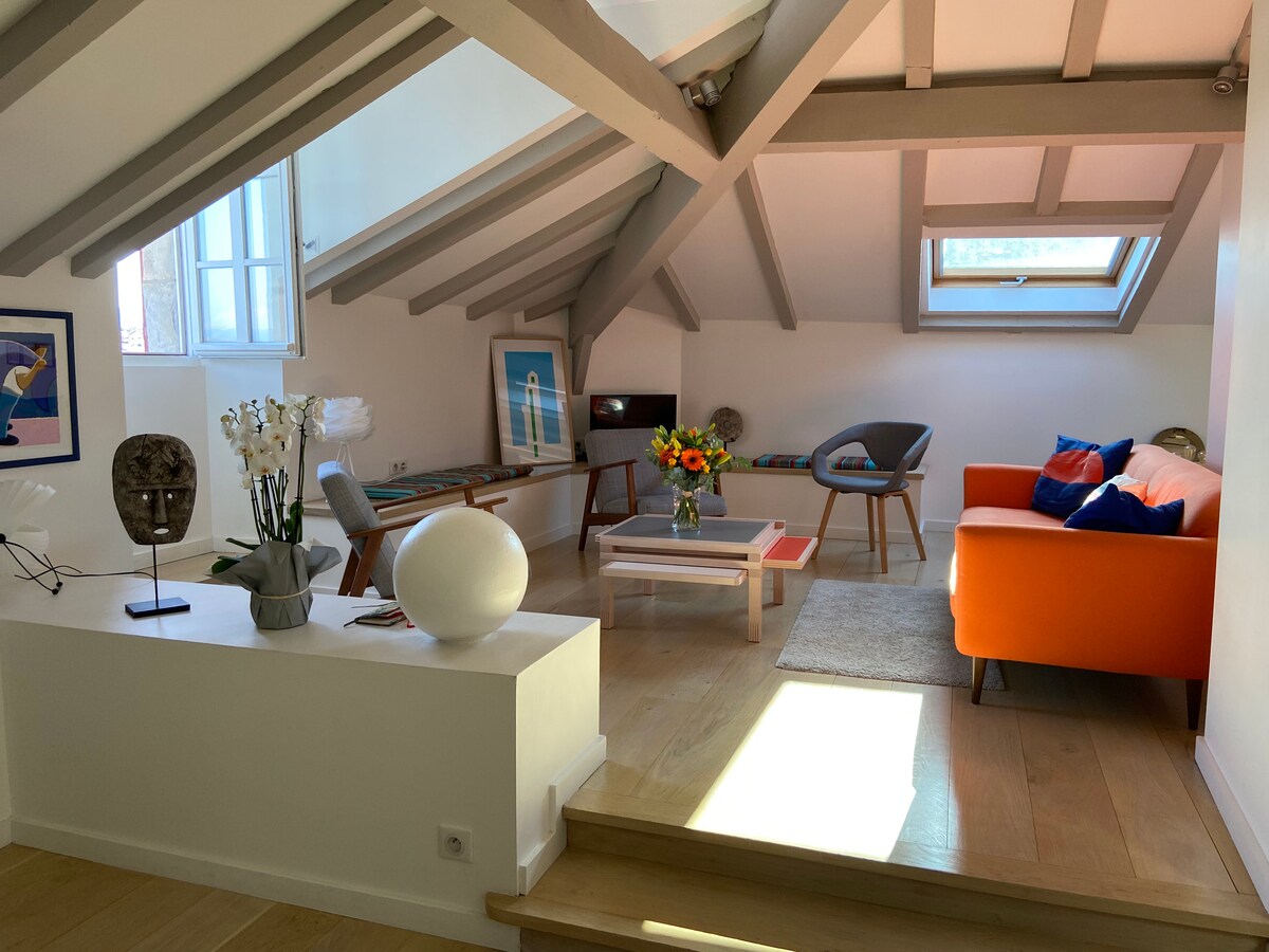 Successful Airbnb property: Saint Jean de Luz apartment, super center (port) in Ciboure