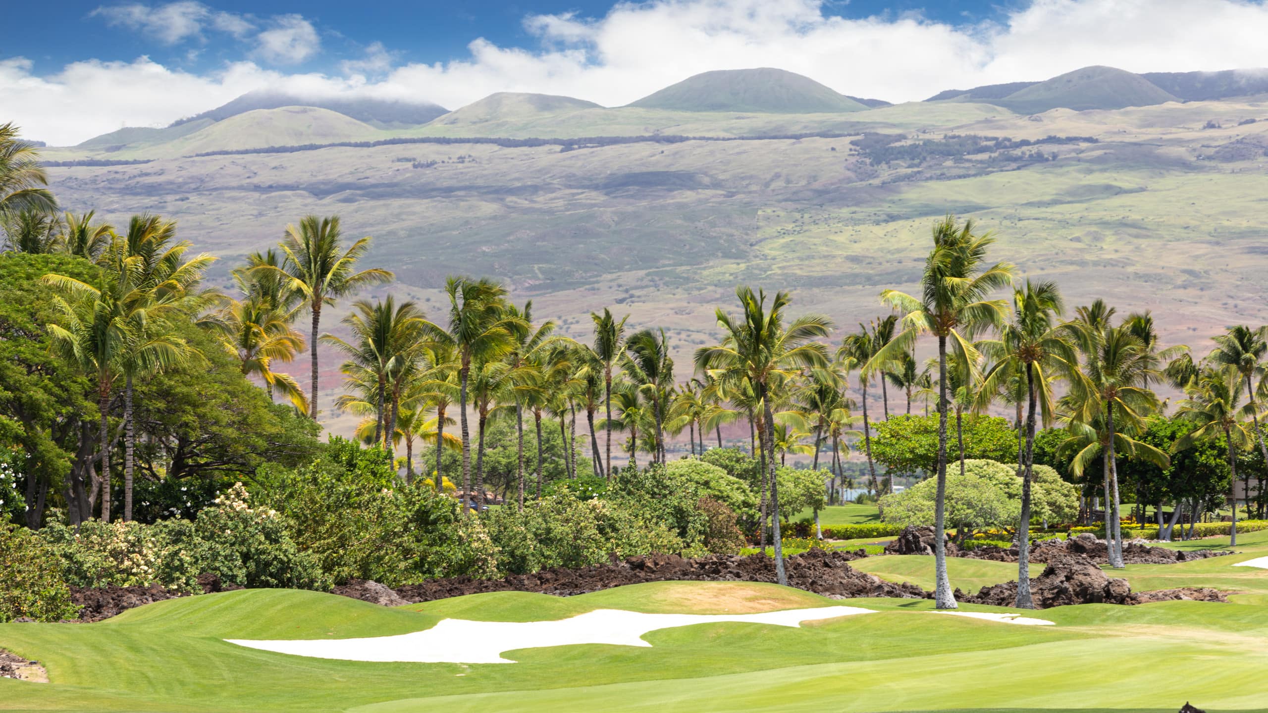 Townhouse in Waimea · ★4.87 · 3 bedrooms · 5 beds · 3 private baths - Image 48