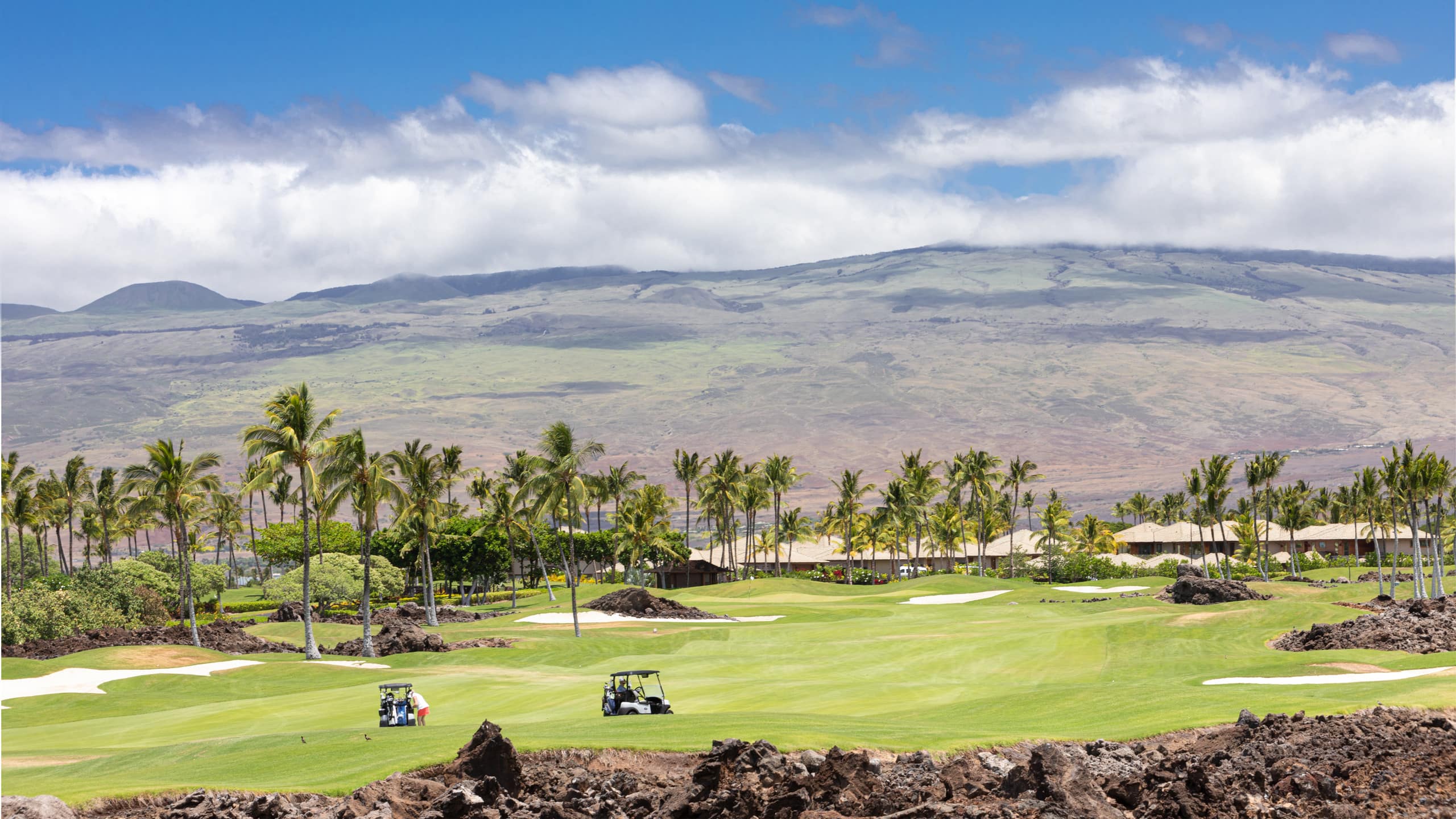 Townhouse in Waimea · ★4.87 · 3 bedrooms · 5 beds · 3 private baths - Image 51