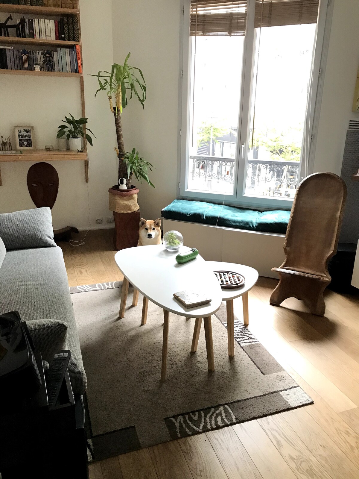 A cozy living area features a light-colored sofa and a unique coffee table with multiple surfaces. A potted plant brings life to the space, while a bright window offers natural light. A wooden chair and soft rug complete the atmosphere.