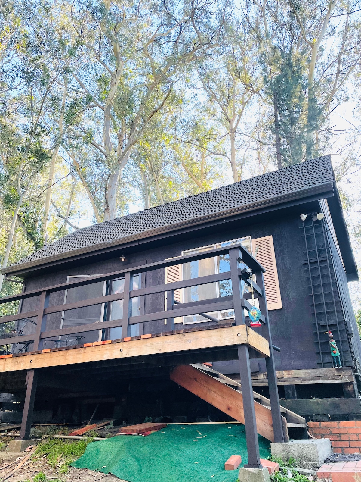 The cottage is situated on a raised foundation, surrounded by tall eucalyptus trees. A wooden deck wraps around the front, leading to the entrance. Large windows provide glimpses of natural light, while the overall structure exhibits a cozy yet functional design.