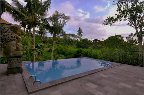 Ubud 3 bedrooms Villa ( private pool )