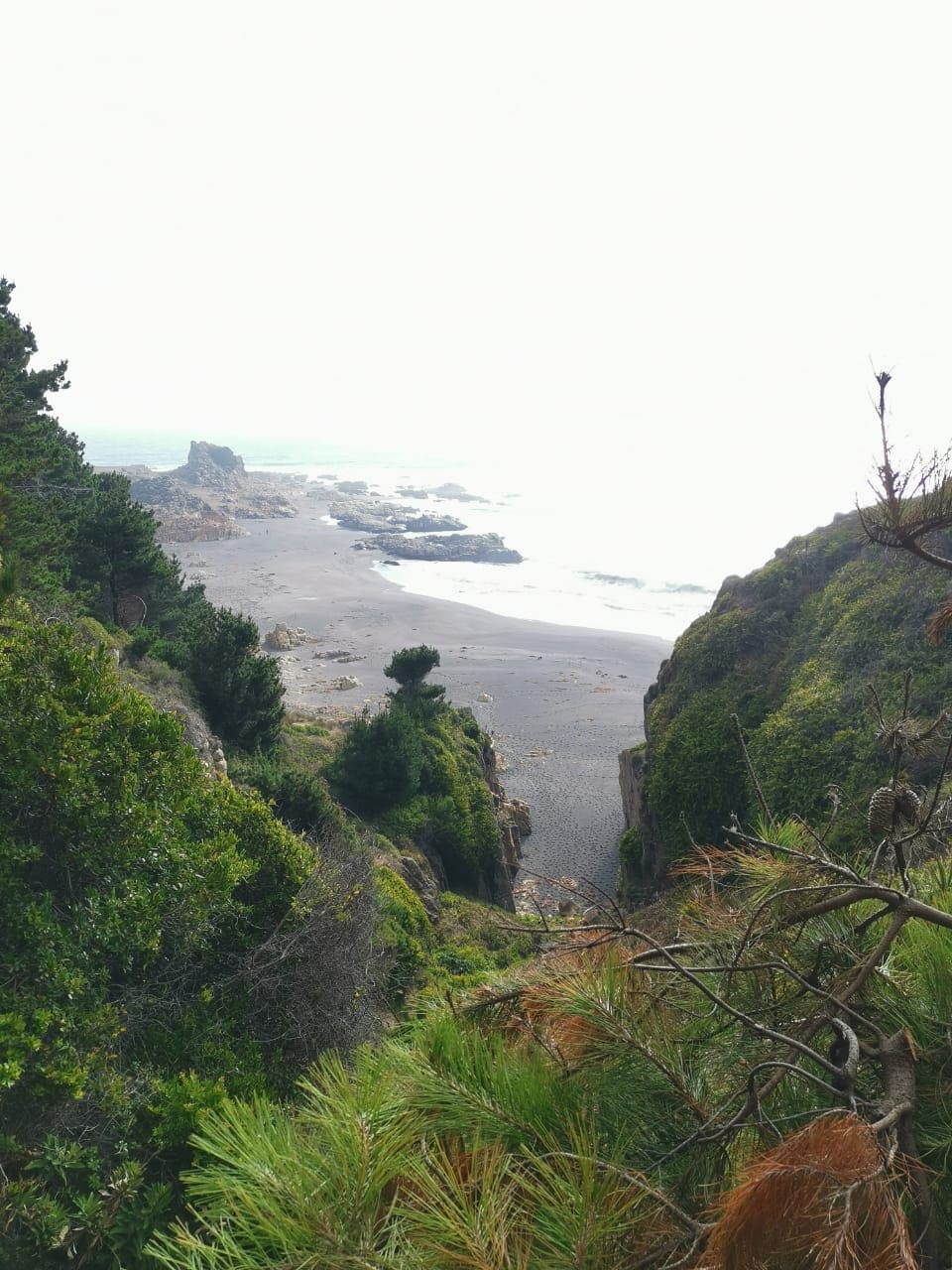 A serene coastal view showcases a sandy beach framed by rocky outcrops and lush greenery. The ocean meets the shore in the distance, while a gentle fog softly obscures the horizon. The natural landscape offers a sense of tranquility and connection to the outdoors.