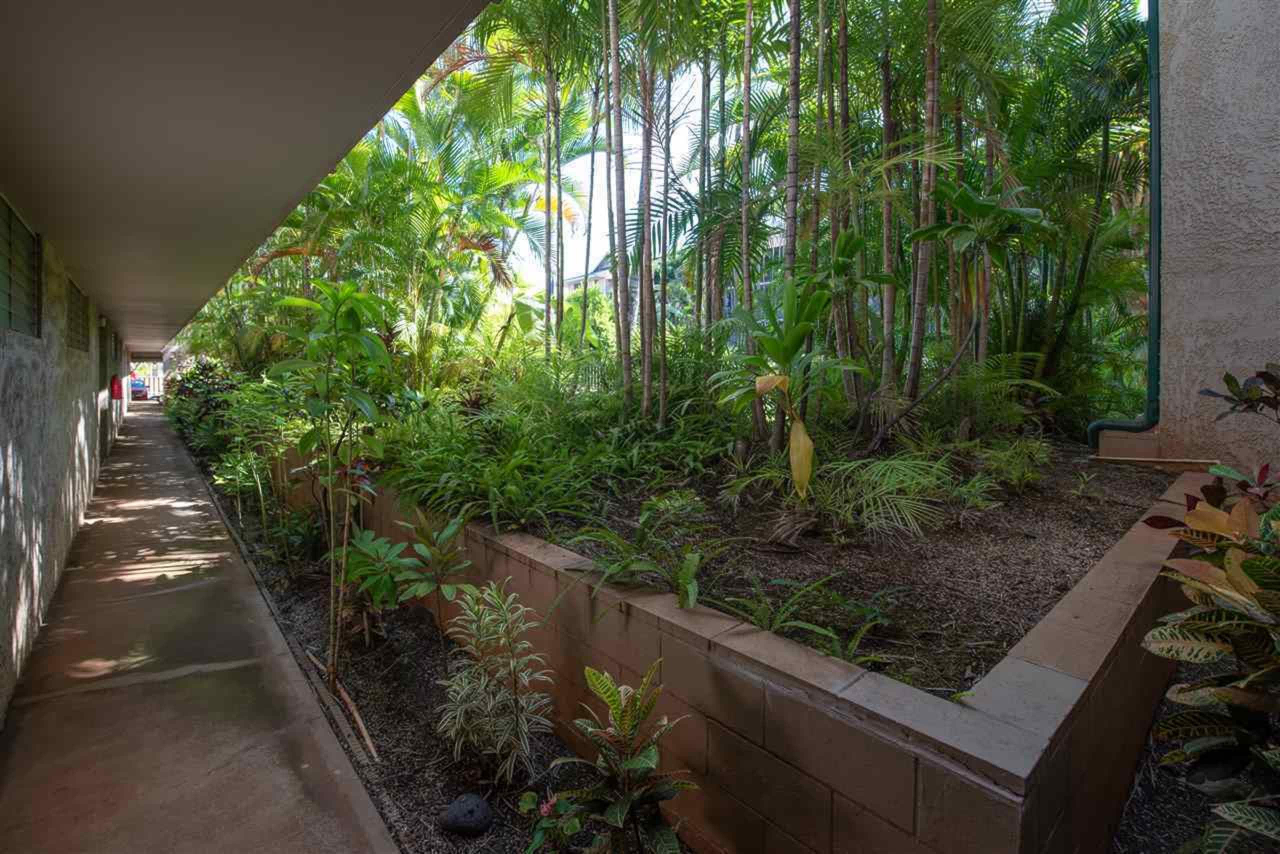 Condo in Kihei · ★4.92 · 1 bedroom · 1 bed · 1 bath - Image 32