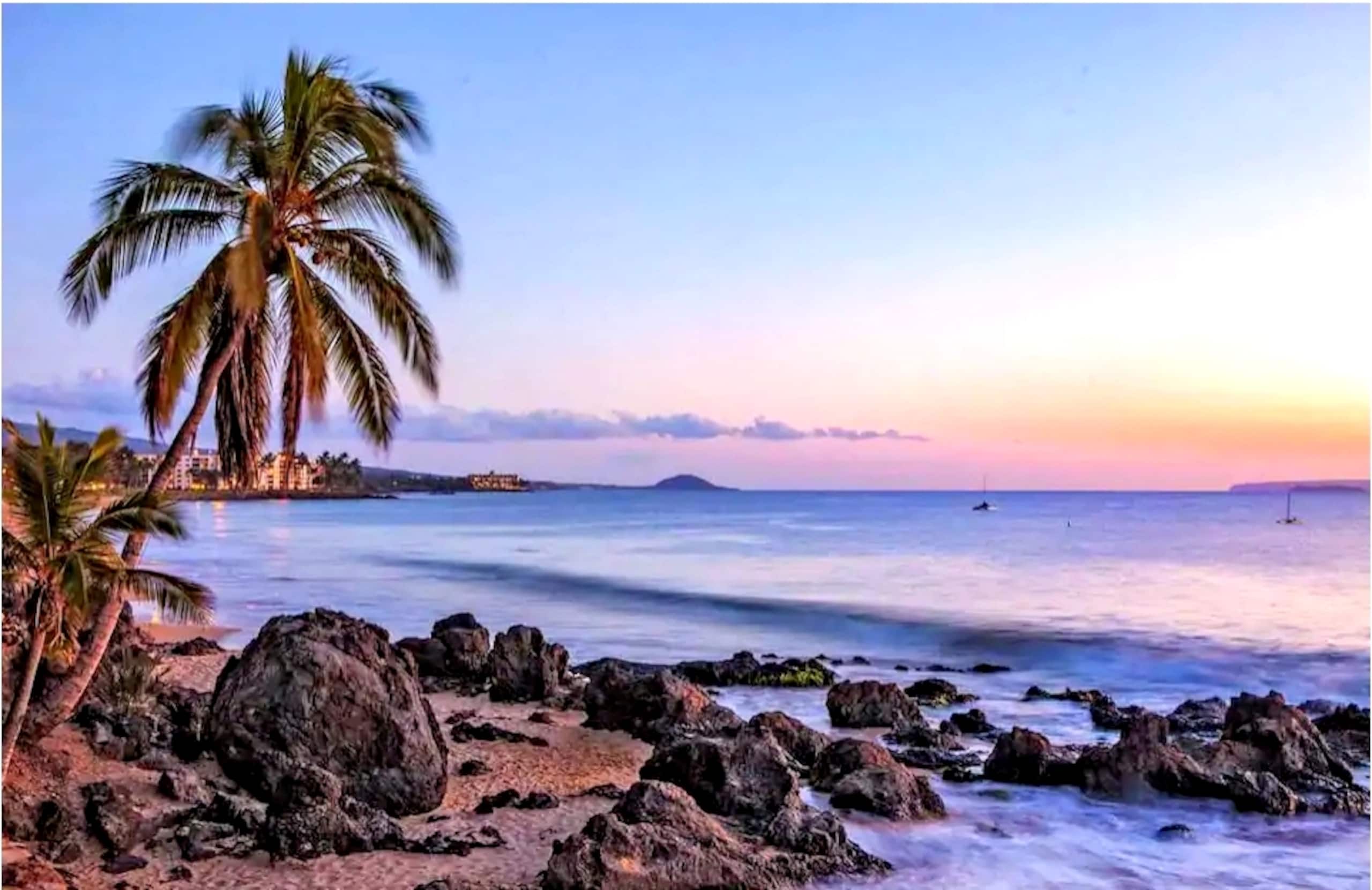 Condo in Kihei · ★4.92 · 1 bedroom · 1 bed · 1 bath - Image 44