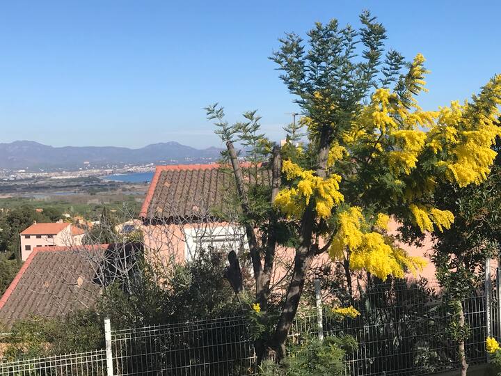 T2 Air-conditioned - Quiet - Garden And Private Entrance -St Aygulf - Pets Welcome. - Var