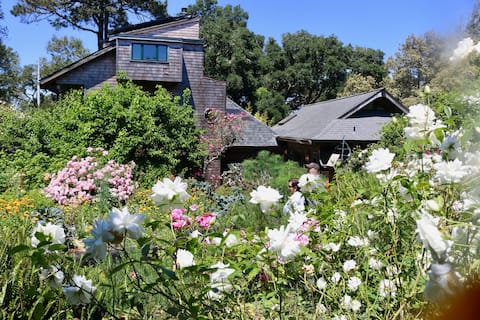 Van der Ryn Eco-Refuge: Architecture in Nature