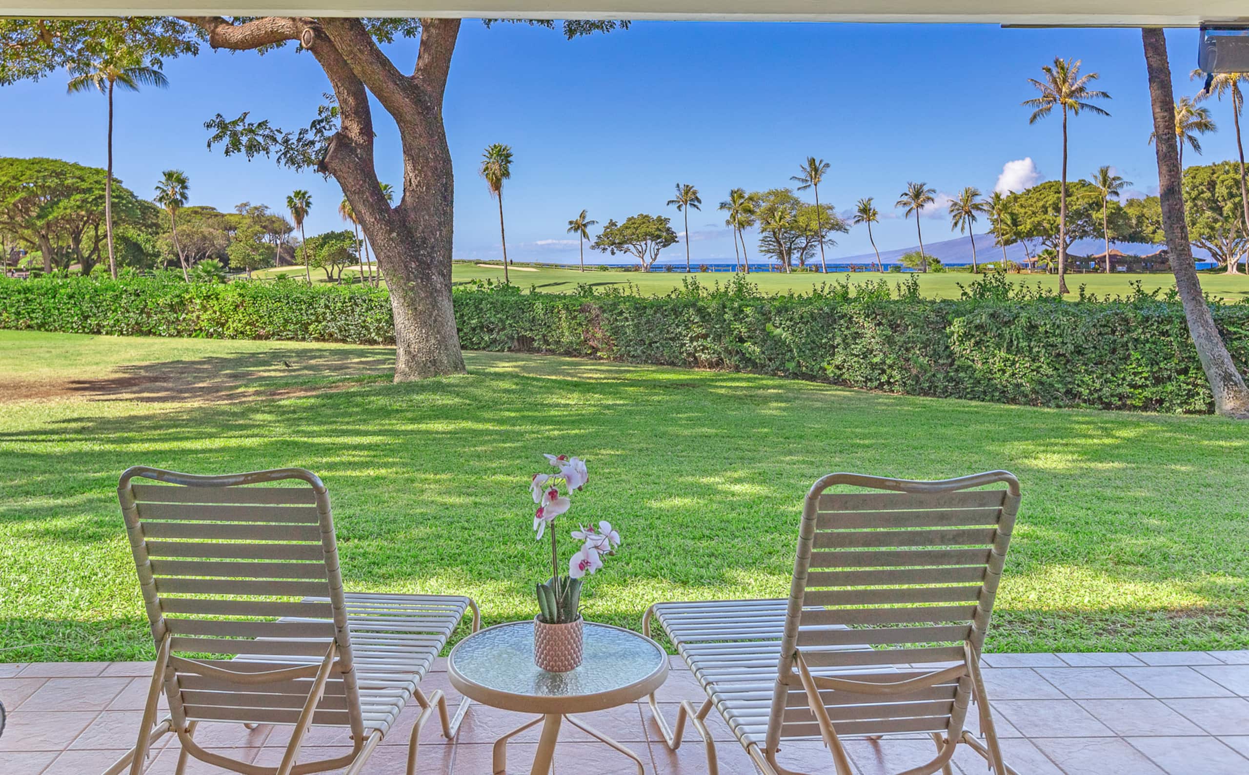 Condo in Lahaina · ★4.95 · 2 bedrooms · 4 beds · 2 private baths - Image 27
