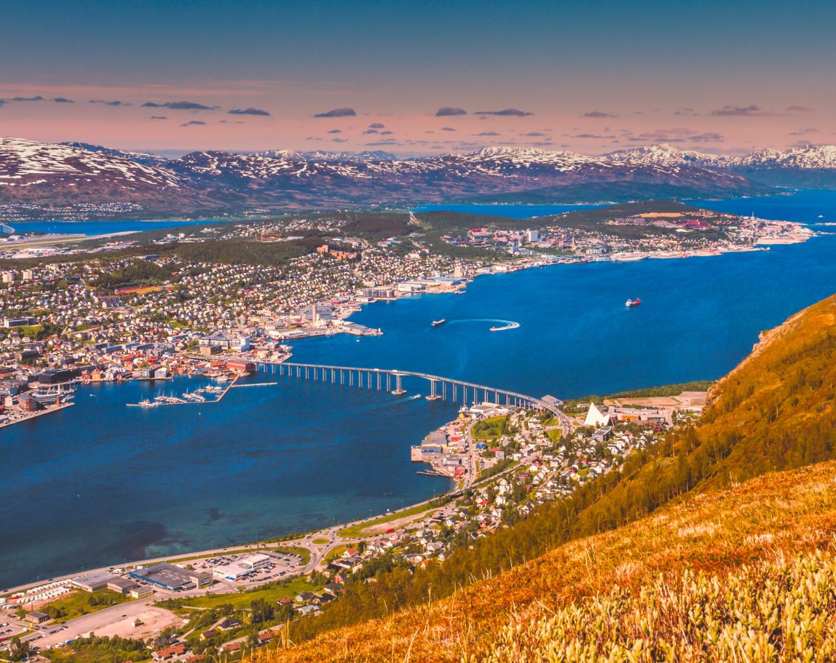 A sweeping view of Tromsø is presented, highlighting the colorful buildings along the waterfront, the bridge connecting the landmasses, and the distant snow-capped mountains. The coastal landscape is complemented by the vibrant blue sea, creating a striking contrast with the greenery in the foreground.