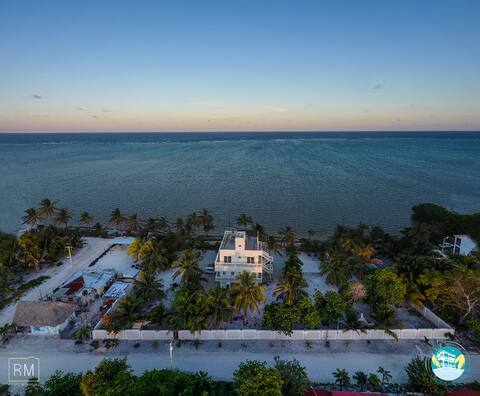 Tarpon CCB Xcalak Oceanfront Apartment