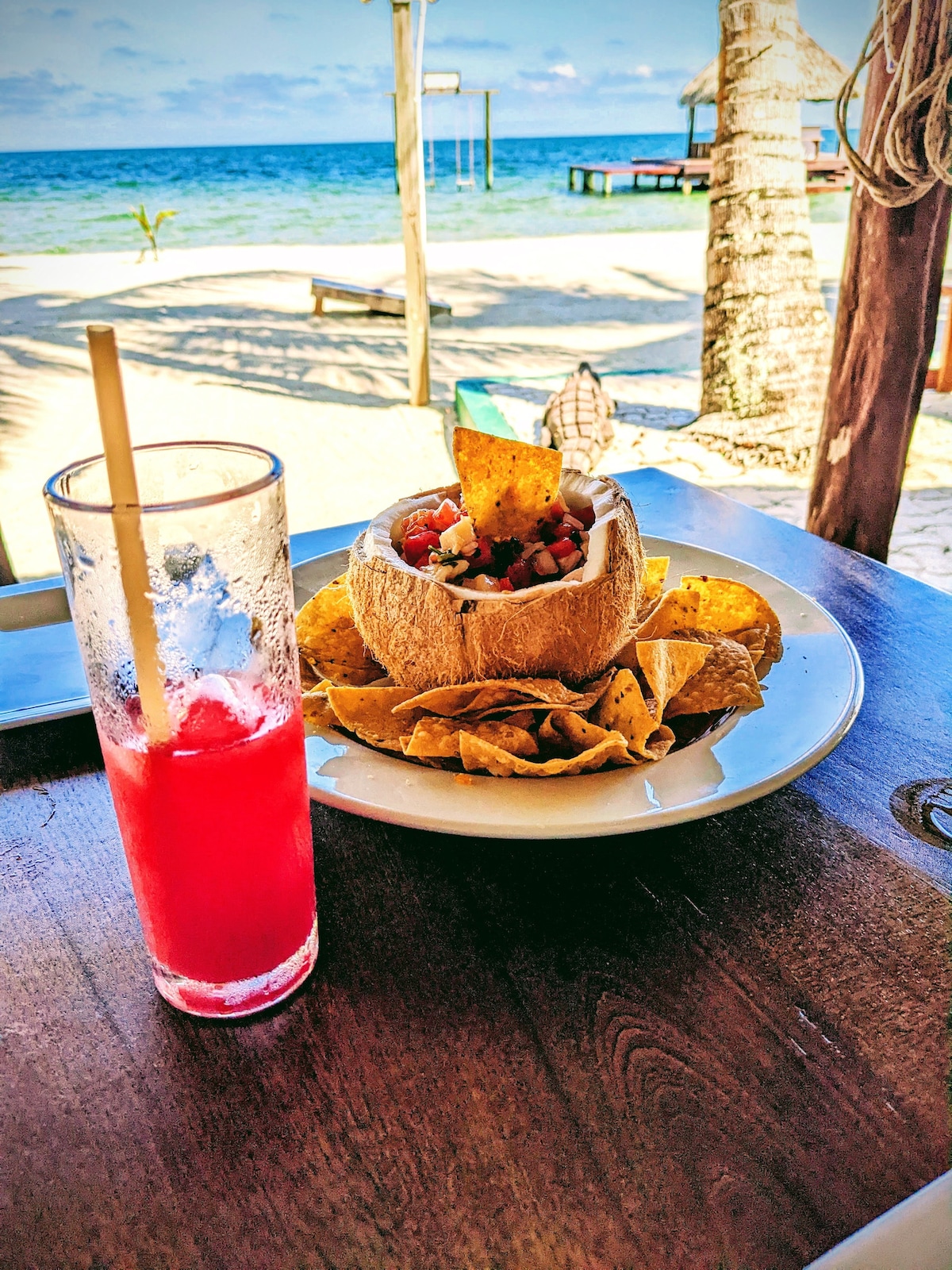 A plate of food is presented with crispy tortilla chips surrounding a coconut bowl filled with fresh salsa and diced vegetables. Next to it, a tall glass of bright pink drink is placed on a wooden table overlooking the tranquil beach and water.