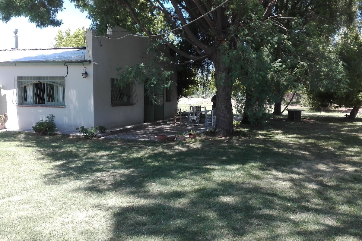 A country house is nestled under large trees, with a shaded outdoor seating area visible. The exterior features a simple design, with windows allowing natural light to enter. Lush green grass surrounds the house, providing a peaceful ambiance.