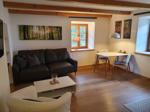 Rural-modern apartment