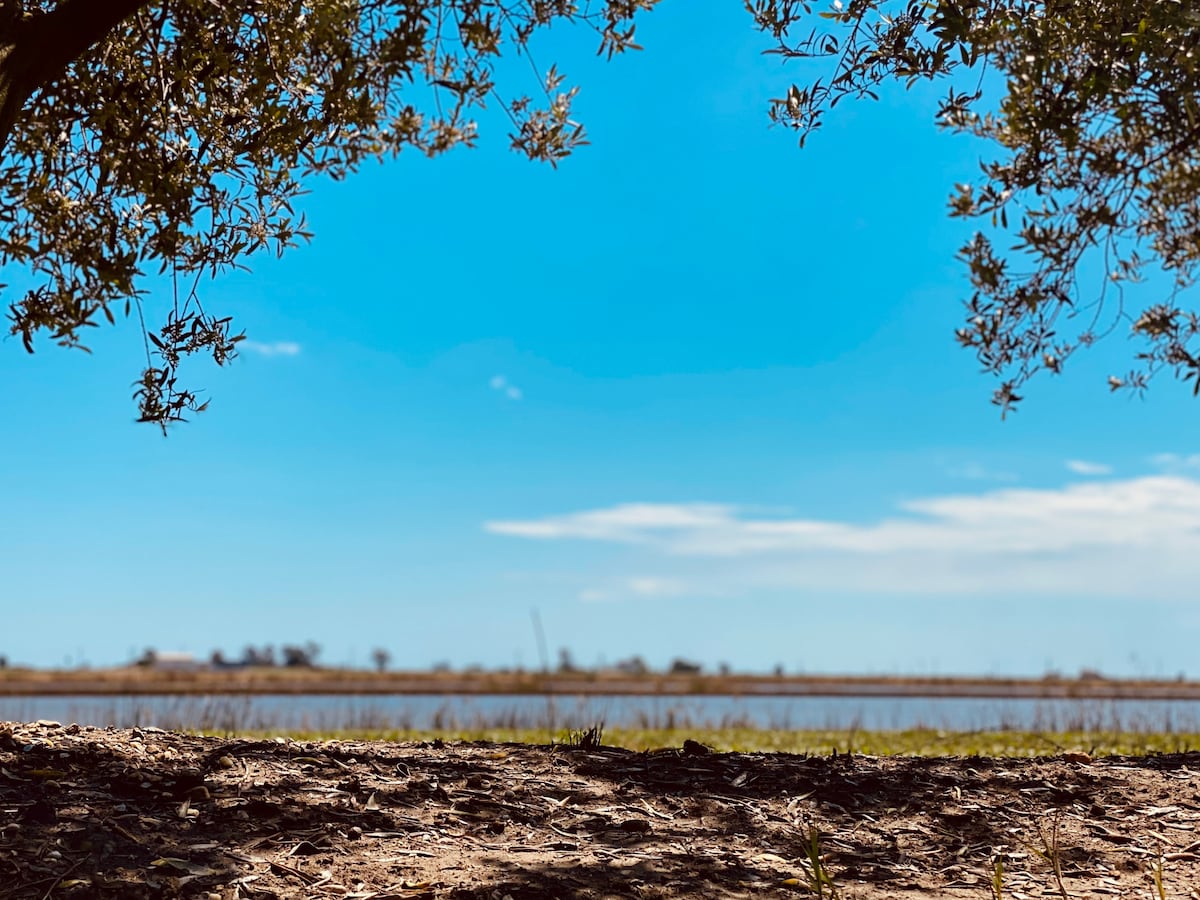 The Old River House 5