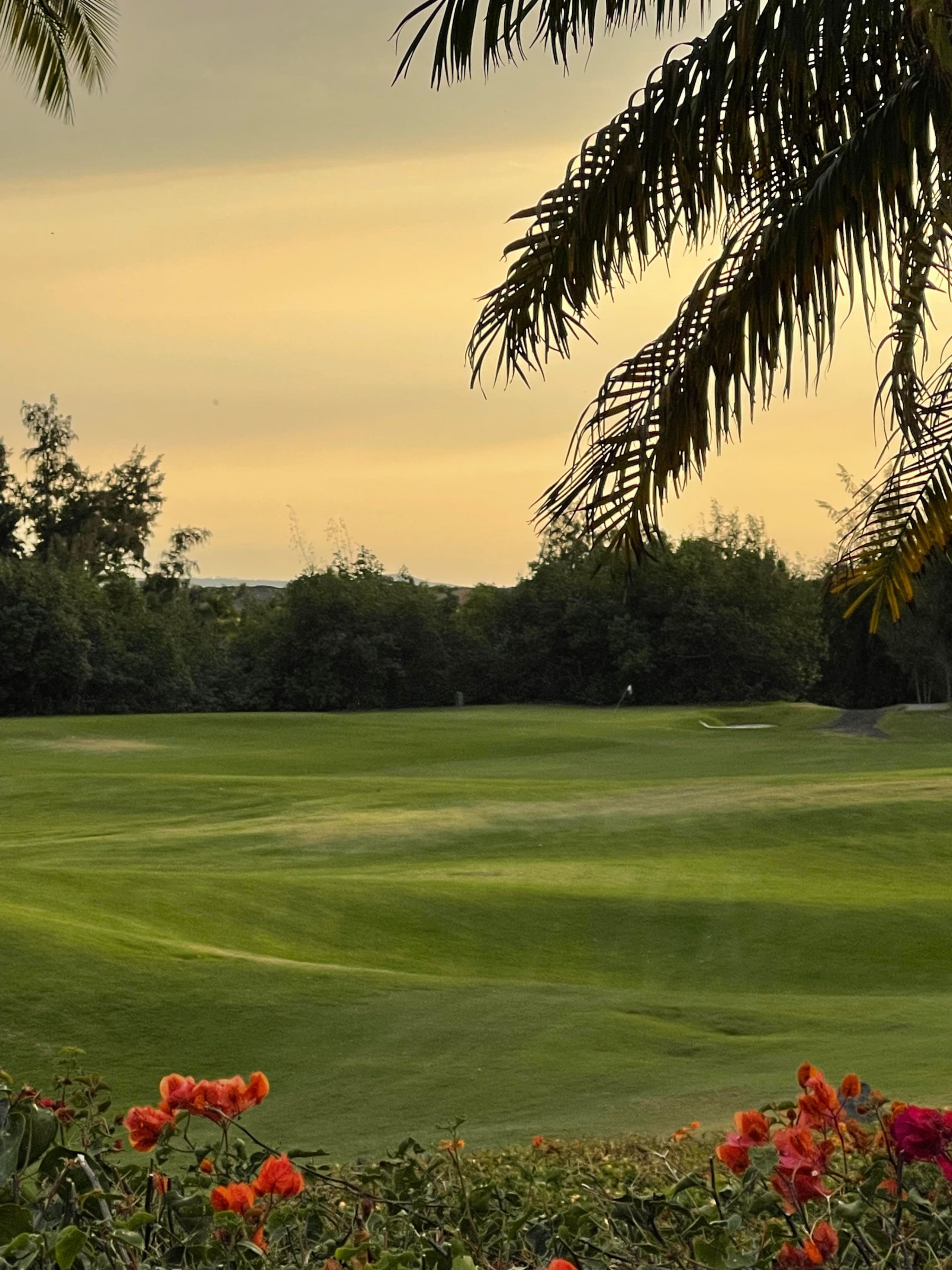 Fairway Villas Waikoloa Large 2B2B + Discount Golf - Photo 22