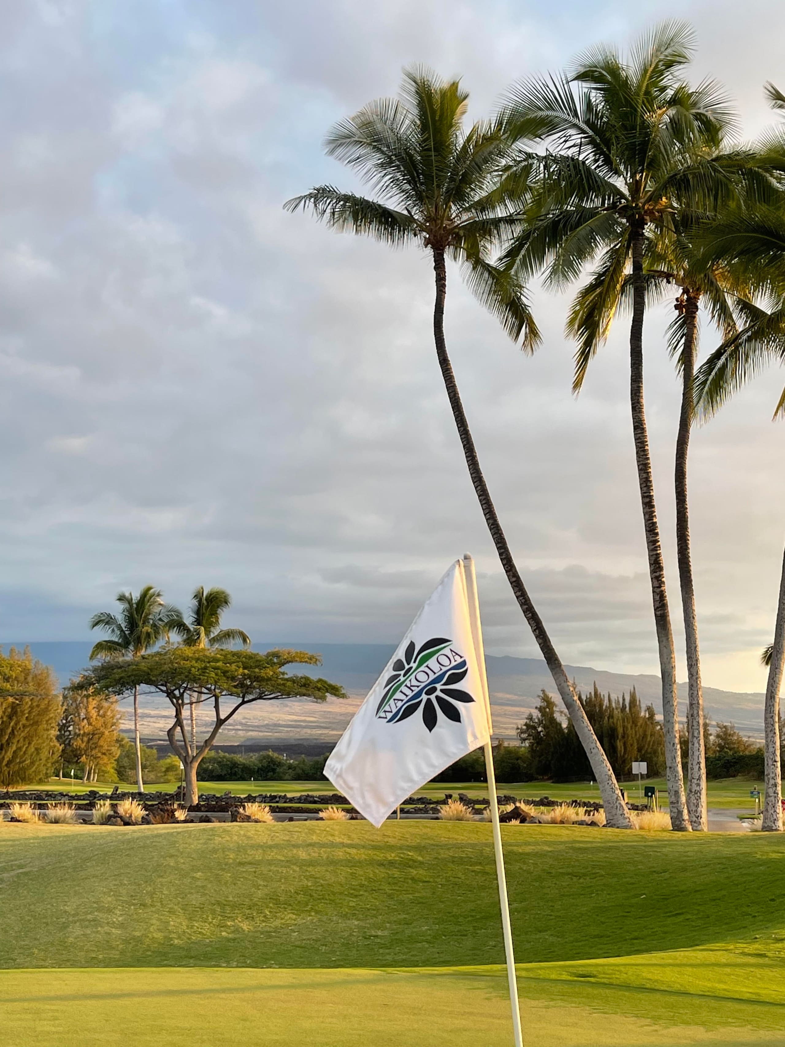 Fairway Villas Waikoloa Large 2B2B + Discount Golf - Photo 21