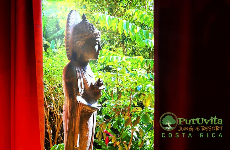 Brewhouse Mountain Eco-Inn managed Airbnb listing 1