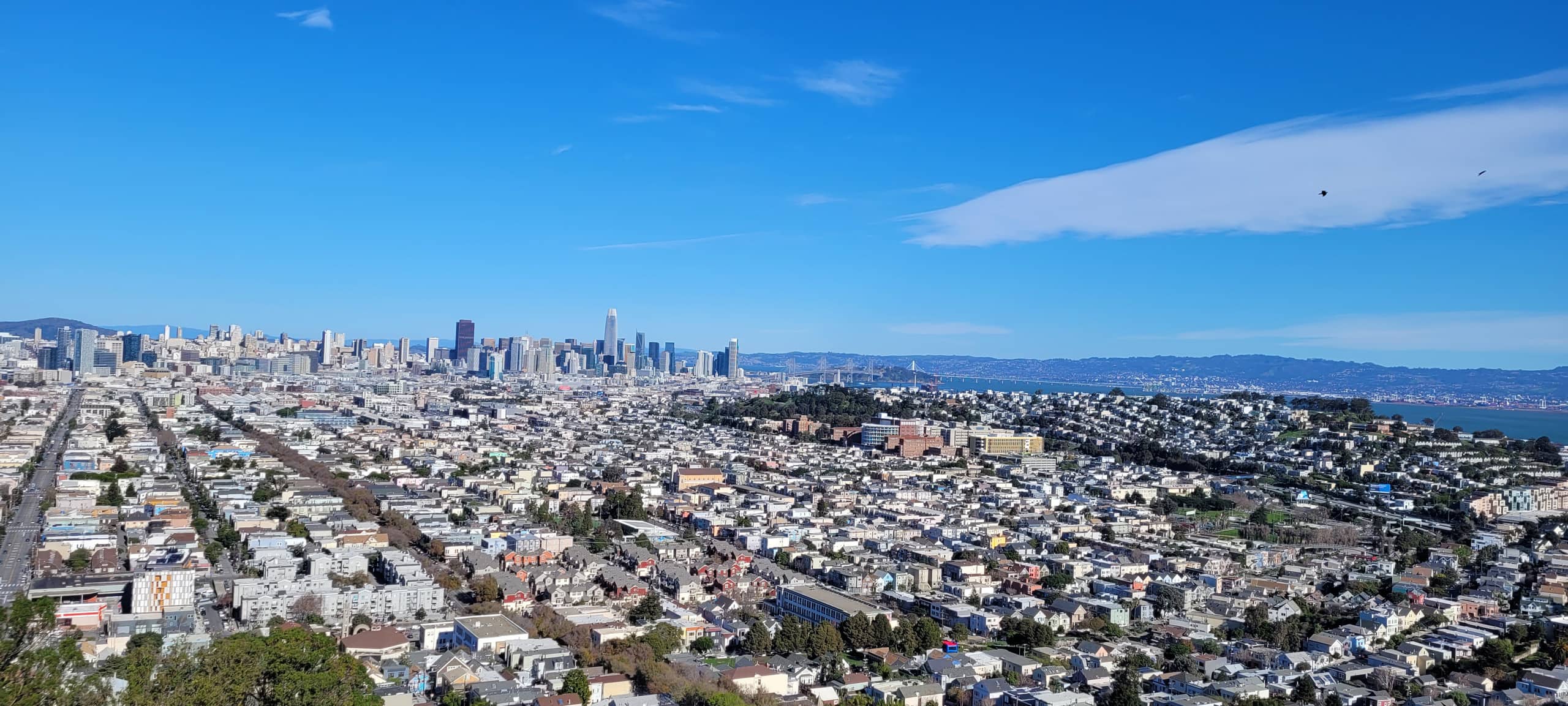 Home in San Francisco · ★4.98 · 4 bedrooms · 5 beds · 2 baths - Image 49