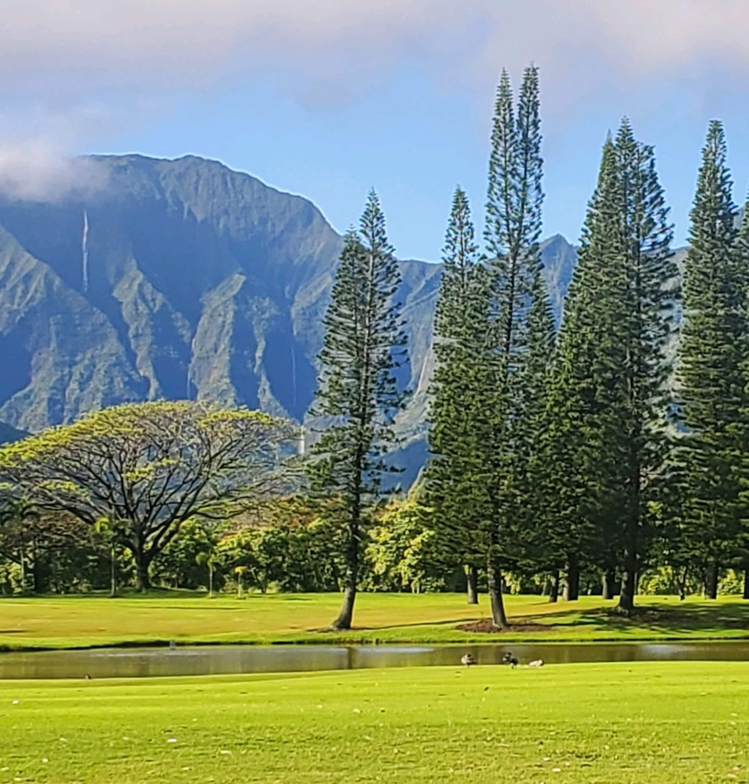 Condo in Princeville · ★4.94 · 1 bedroom · 1 bed · 1 bath - Image 3