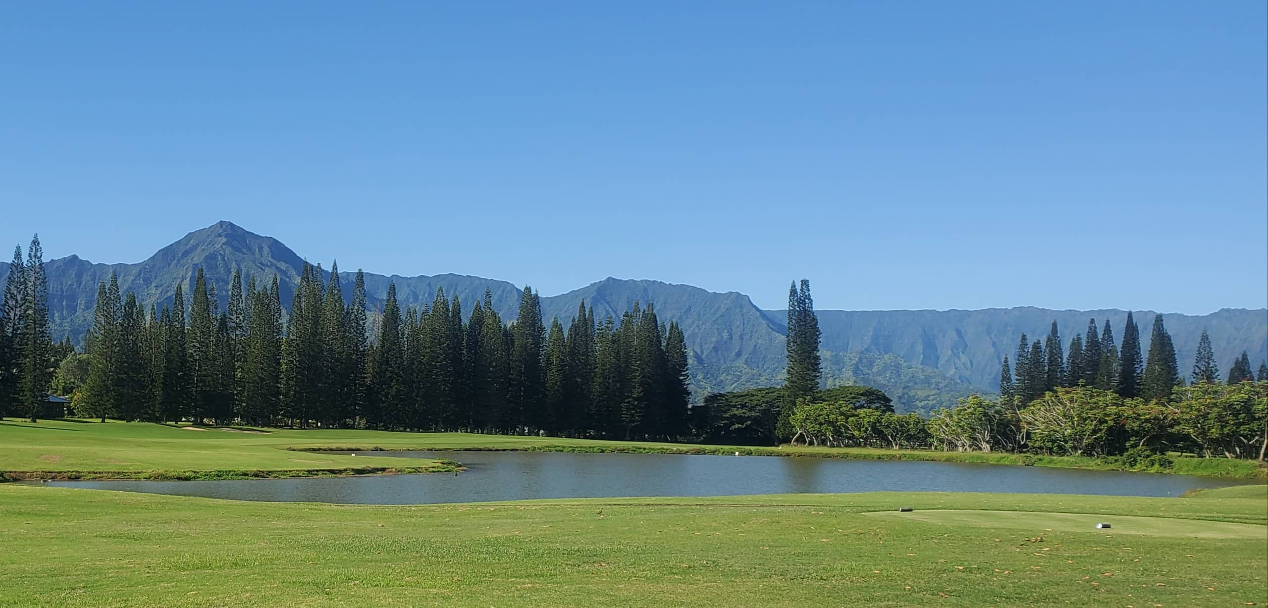 Condo in Princeville · ★4.94 · 1 bedroom · 1 bed · 1 bath - Image 4