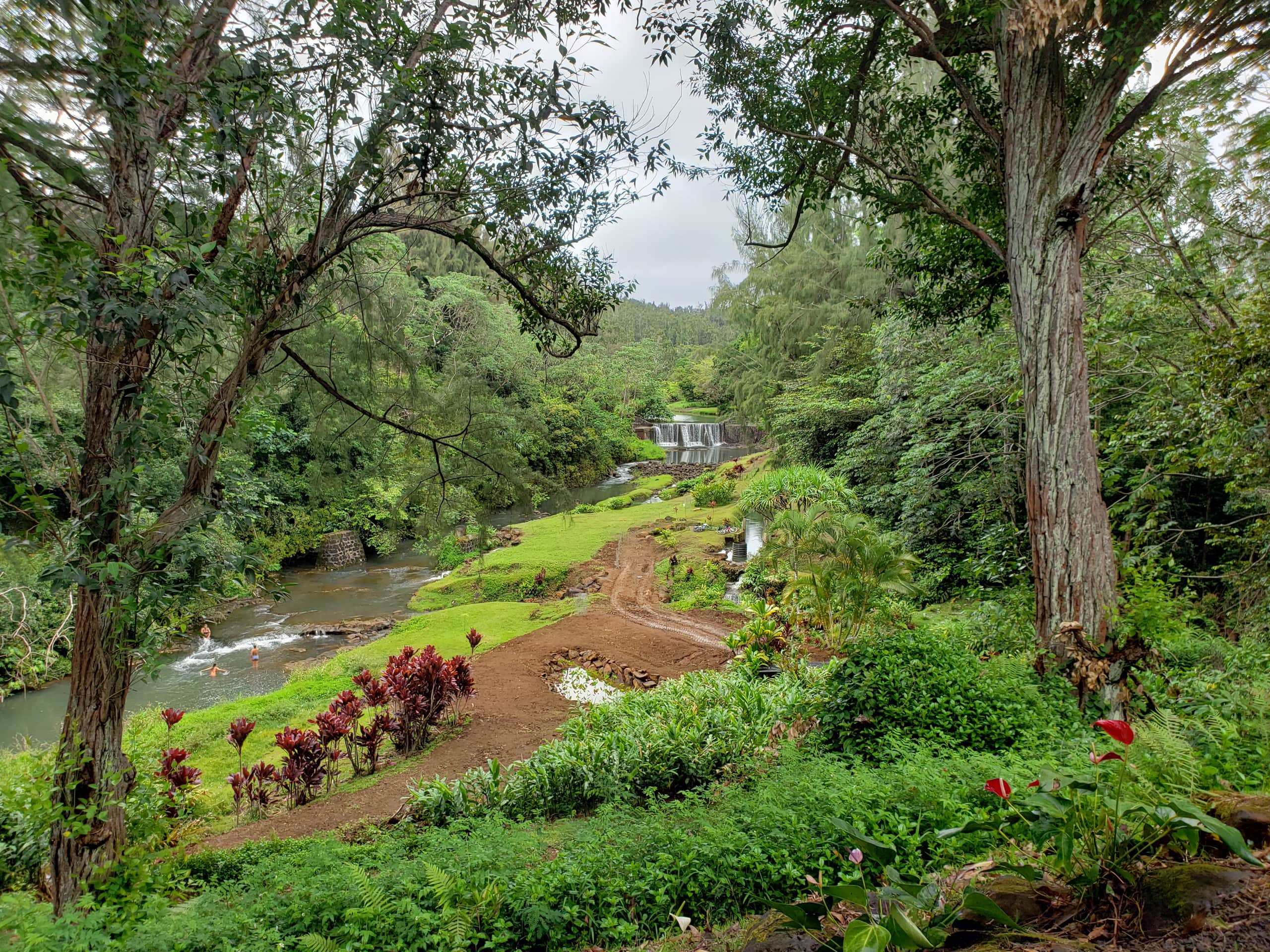 Condo in Princeville · ★4.94 · 1 bedroom · 1 bed · 1 bath - Image 8