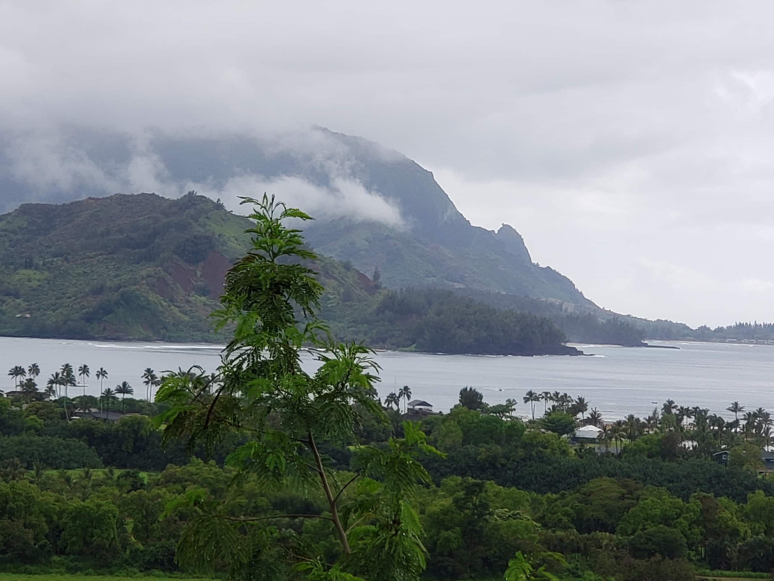 Condo in Princeville · ★4.94 · 1 bedroom · 1 bed · 1 bath - Image 7