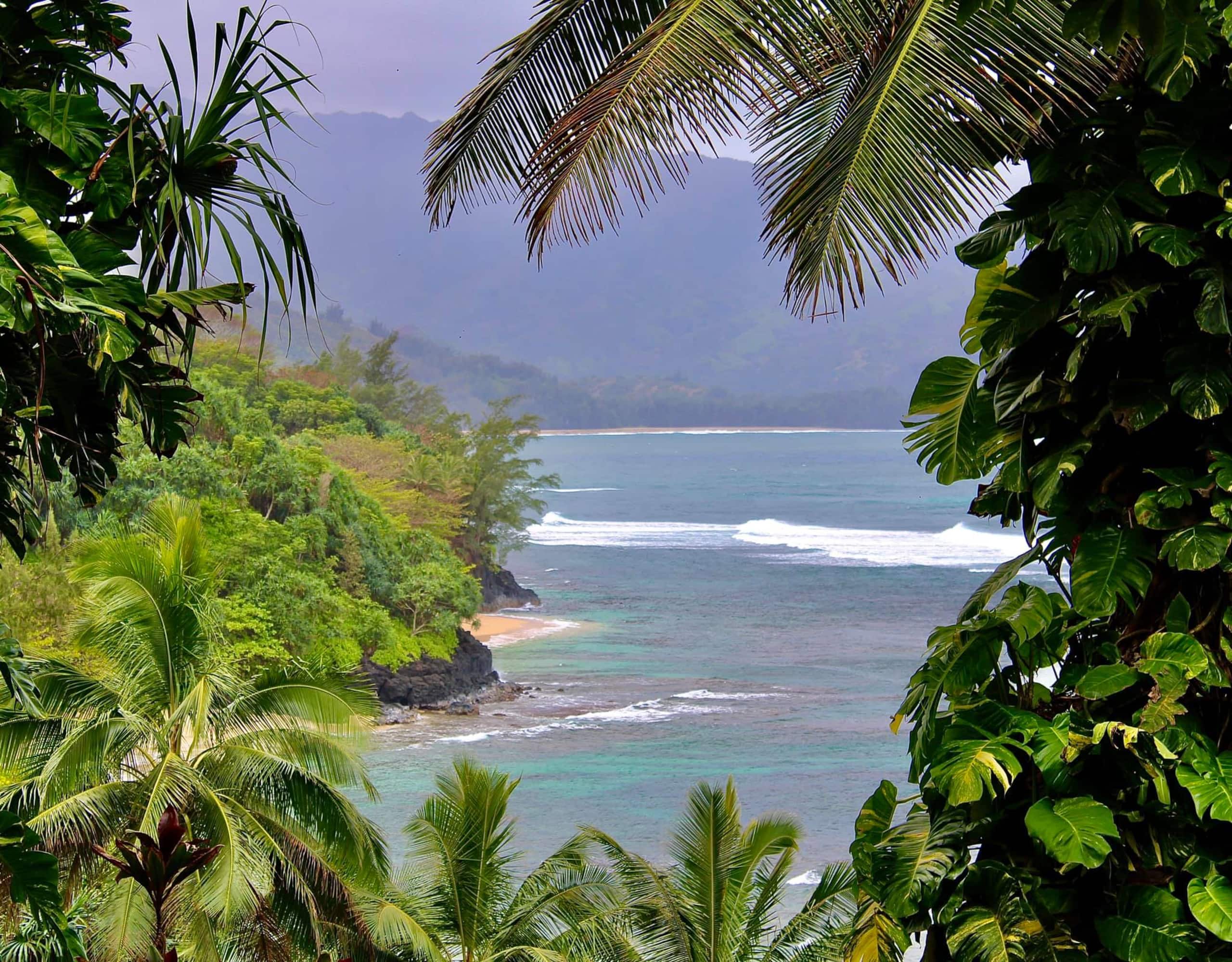 Condo in Princeville · ★4.94 · 1 bedroom · 1 bed · 1 bath - Image 15