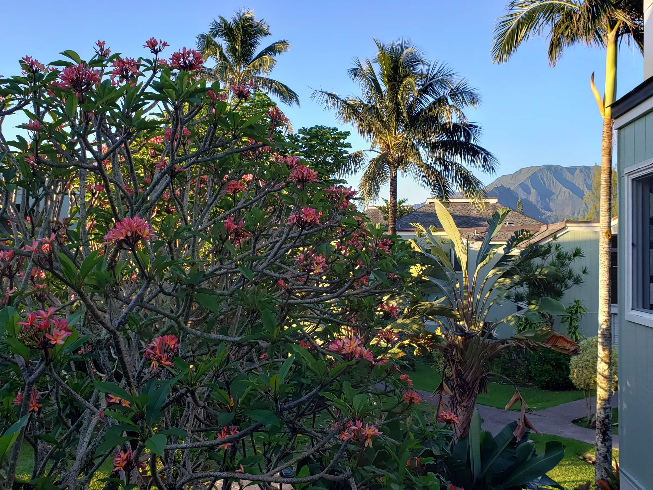 Condo in Princeville · ★4.94 · 1 bedroom · 1 bed · 1 bath - Image 6
