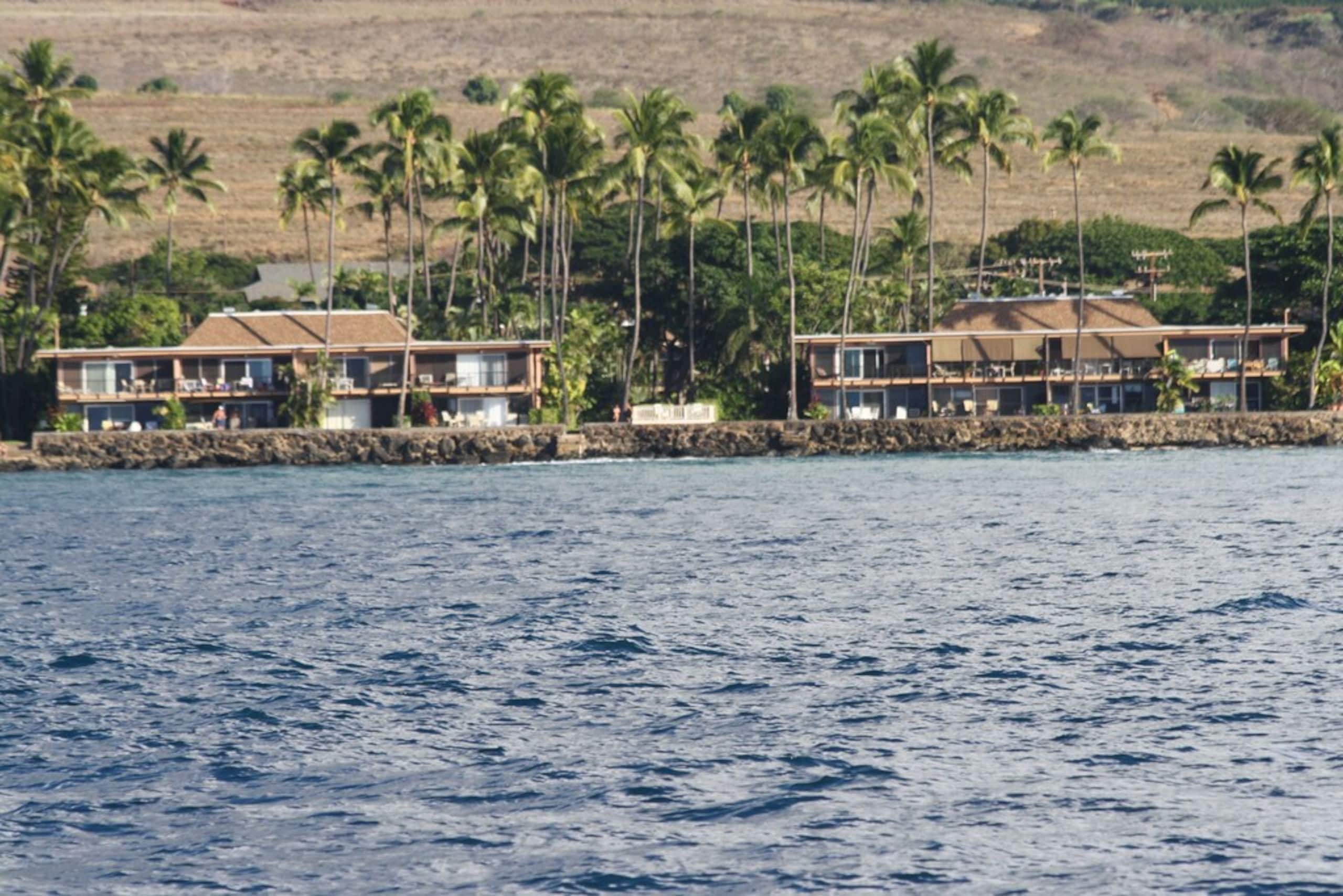 Condo in Lahaina · ★4.91 · 2 bedrooms · 4 beds · 2 baths - Image 41