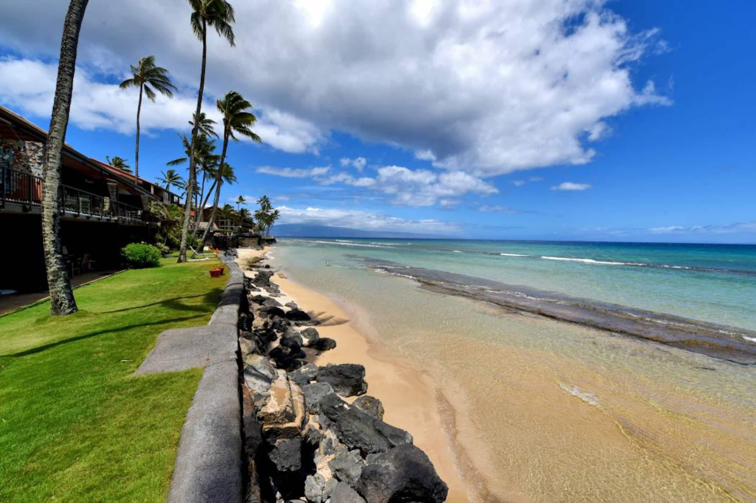 Condo in Lahaina · ★4.91 · 2 bedrooms · 4 beds · 2 baths - Image 3