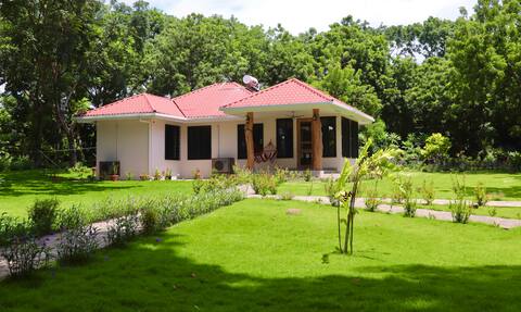 Casa Del Lago, Luxurious Beautiful Lakefront Home!