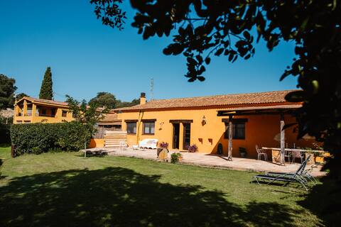 LAS MIMOSAS Casa rural en la Campo