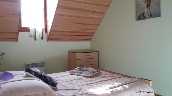 Habitación 1