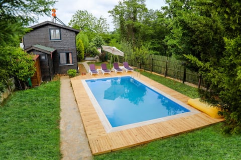 Villa Cinarhan with Pool - Ağva