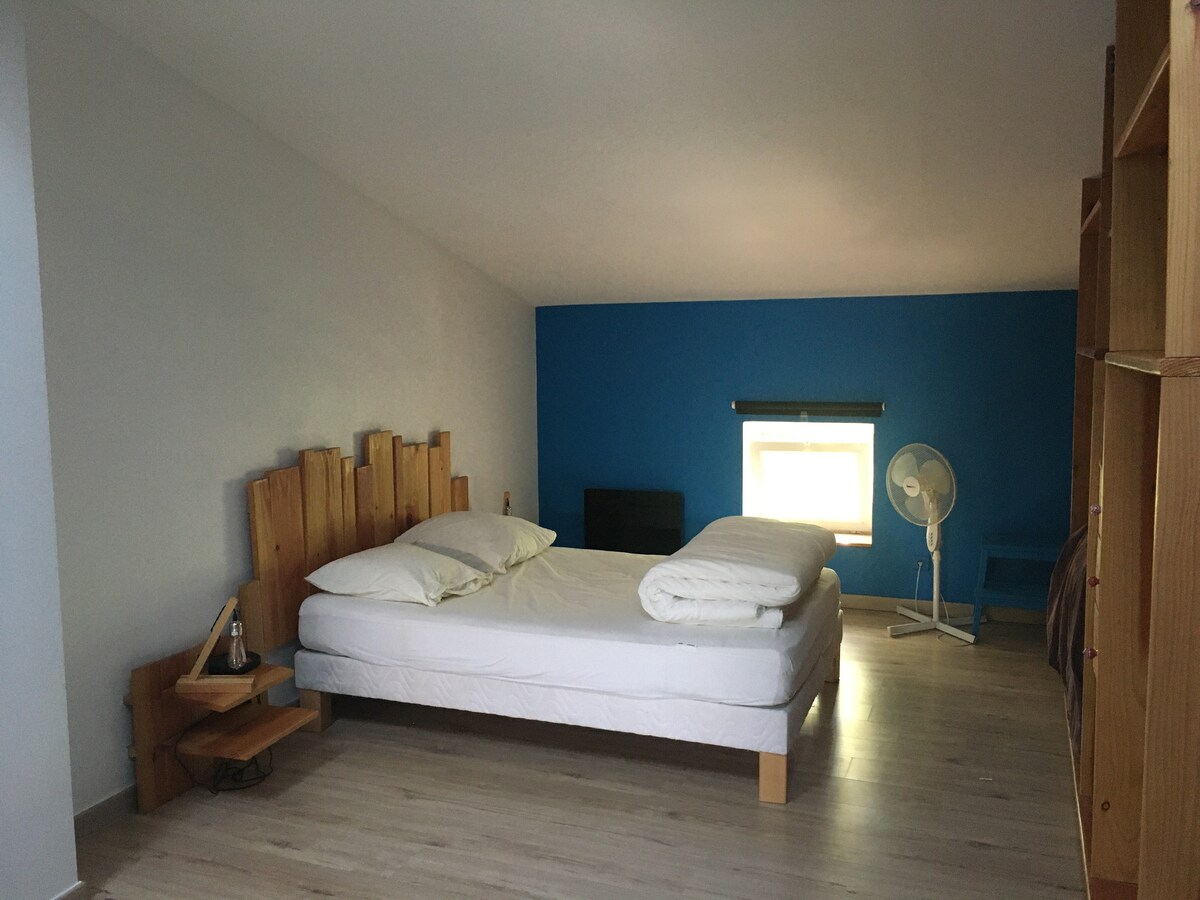 A spacious bedroom features a double bed with an unmade blanket and two pillows. A blue accent wall complements the light wooden floor. Natural light enters through a small window, and a ceiling fan is positioned nearby. A simple bookshelf stands against the opposite wall.