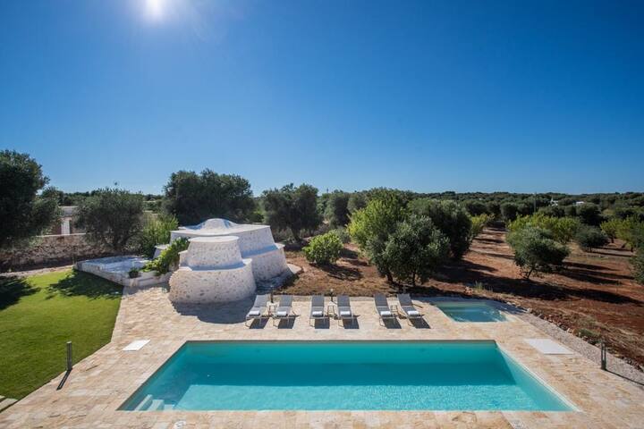 Ulivi di Puglia gallery image 2