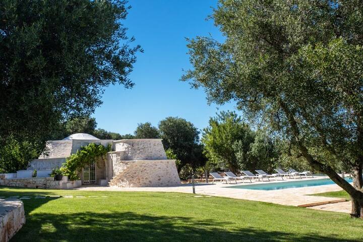 Ulivi di Puglia gallery image 3