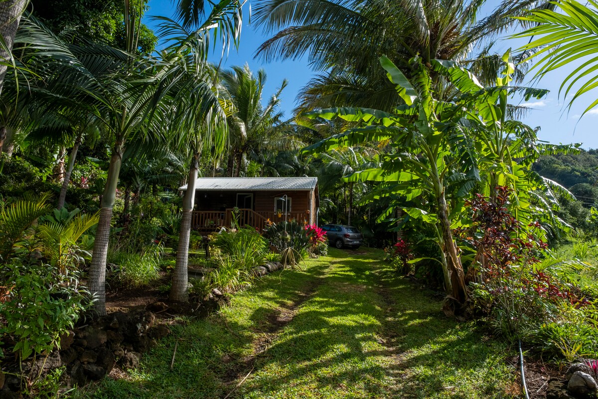 A tropical landscape surrounds a wooden bungalow, framed by lush palm trees and vibrant plants. A pathway lined with greenery leads to the entrance, where a wooden porch is visible, inviting relaxation. A private parking area is situated near the bungalow within the garden.
