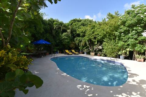 Tropical Home with Pools and Garden - Jacaranda