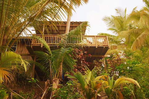 Successful Airbnb property: The Coconut Cottage in Rincón