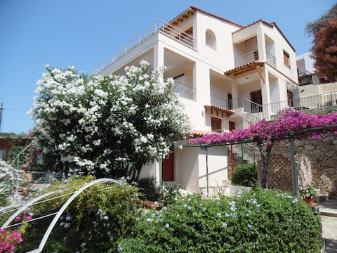 VILLA IGUANA 80 m to the beach!
