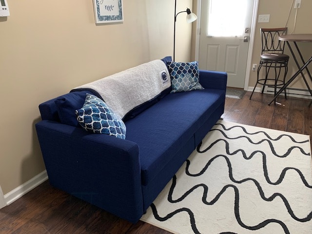 ห้องนั่งเล่นพร้อมโซฟาปรับนอน (ประตูเป็นทางเข้าส่วนตัวที่มีรั้วรอบขอบชิดในสนามหลังบ้าน)