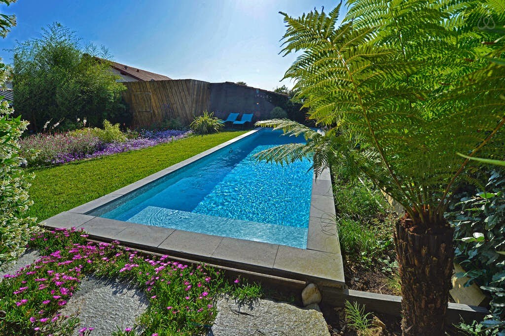 A serene swimming pool is surrounded by well-maintained greenery, including tall ferns and colorful flowers. Sunlight reflects off the crystal-clear water, creating a tranquil ambiance. Two lounge chairs are positioned nearby, offering a space for relaxation within the garden setting.