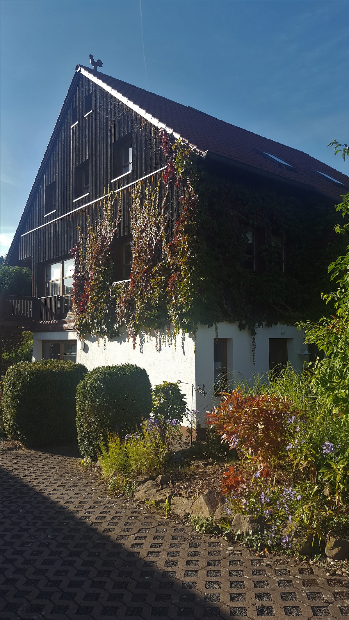 A charming house features a two-tone exterior with dark wood accents and white walls. The facade is adorned with climbing plants and colorful flowers, enhancing the overall appeal. Lush greenery surrounds the property, creating a welcoming entrance along the paved pathway.